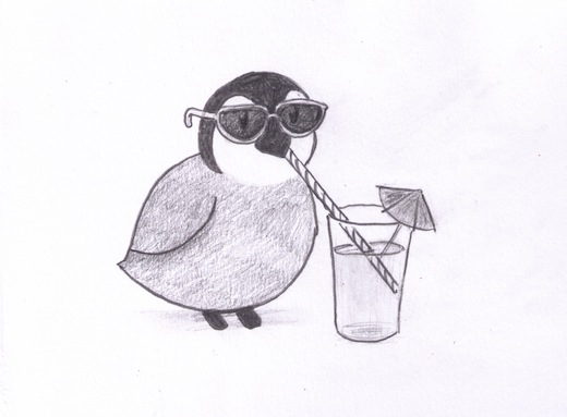 Sufjan with sunglasses drinking lemonade through a straw